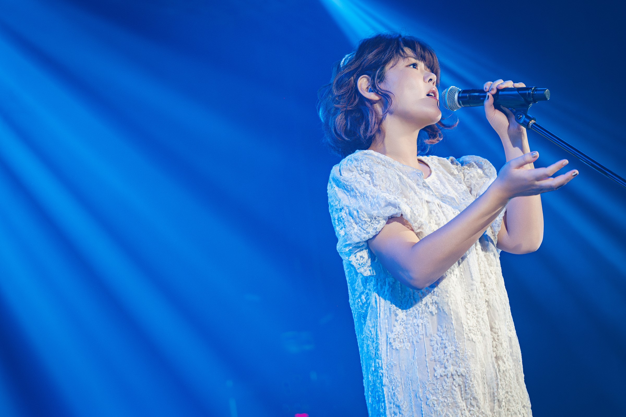 多田葵专访照片8
